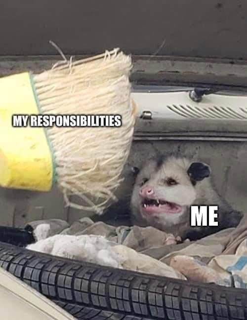 The meme features a photo of an opossum with a terrified expression, captioned "me" and "my responsibilities". The opossum is surrounded by a mess of dirty laundry, trash, and other chaotic elements. The text "my responsibilities" is being thrown at the opossum by a broom, implying that the speaker's responsibilities are overwhelming and chaotic.